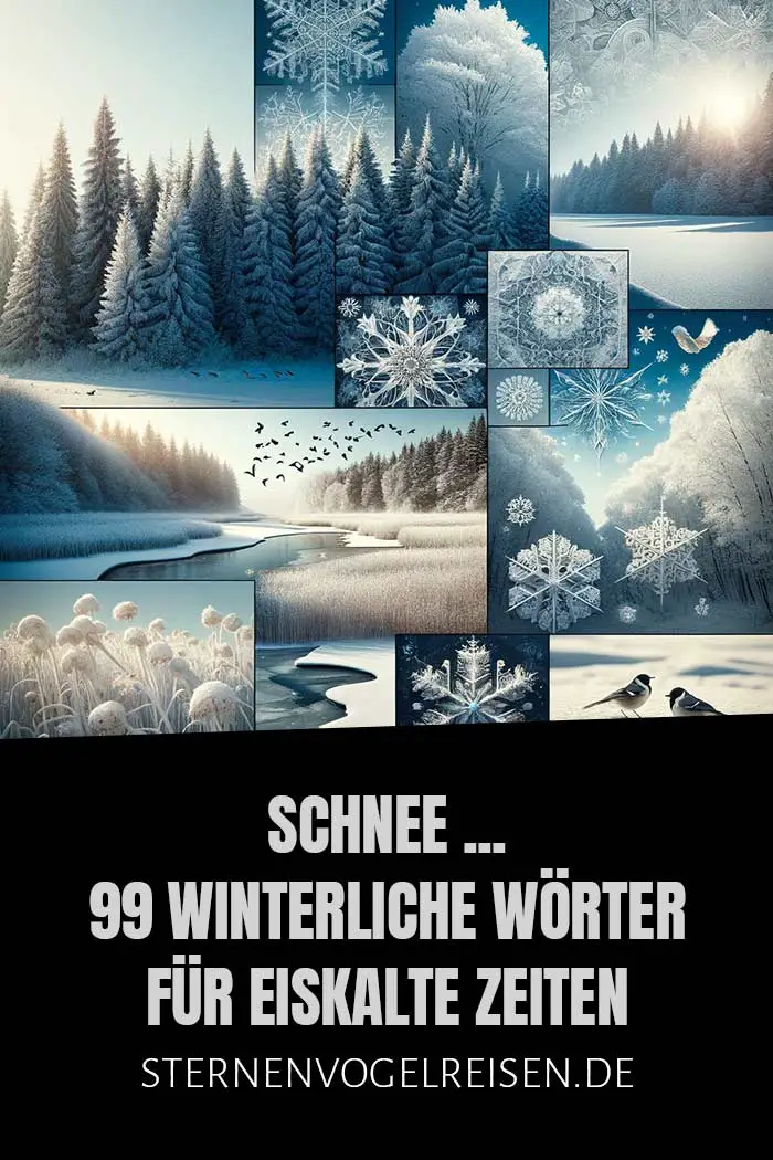 Schnee ... 99 winterliche Wörter für eiskalte Zeiten