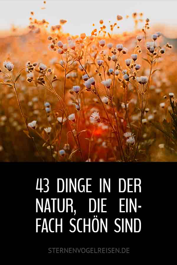 43 Dinge in der Natur, die einfach schön sind