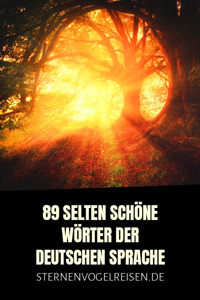 89 selten schöne Wörter und was sie bedeuten