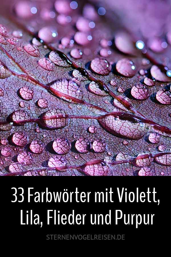 Lila, Violett und Purpur ... 49 intensive Farbwörter